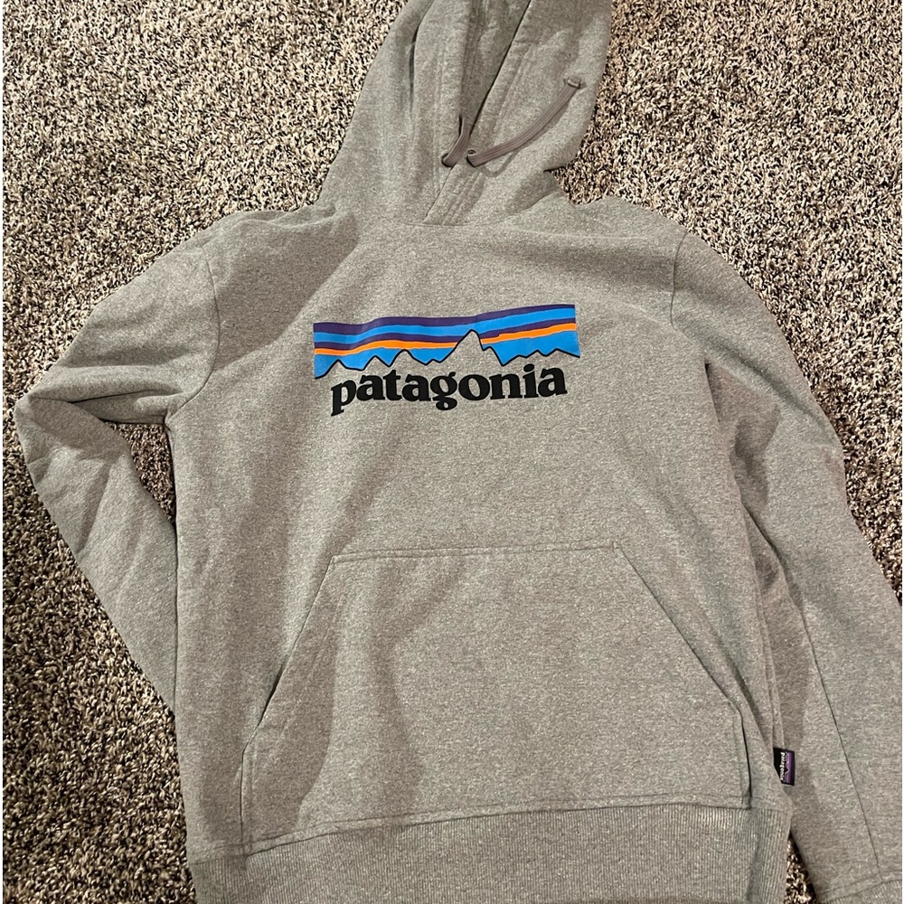 Patagonia Grey Sweatshirt